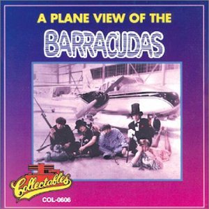 Cover for Barracudas · Plane View of the Barracudas (CD) (1995)