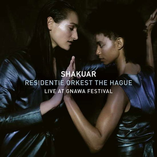 Live at Gnawa Festival - Shakuar / Residentie Orkest The Hague - Musik - BUZZ - 0608917613629 - 6. august 2021