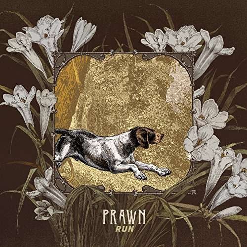 Run - Prawn - Muziek - TOPSHELF RECORDS - 0634457787629 - 22 september 2017