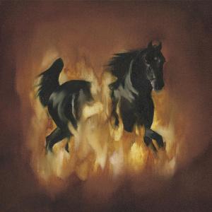 Are The Dark Horse - Besnard Lakes - Music - JAGJAGUWAR - 0656605210629 - February 22, 2007