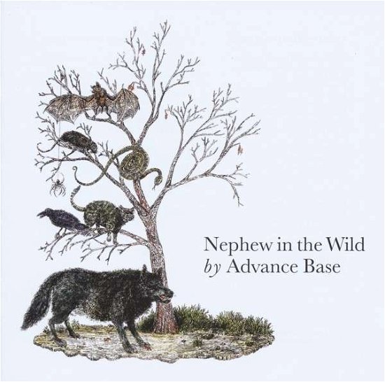 Cover for Advance Base · Nephew In The Wild (CD) (2015)
