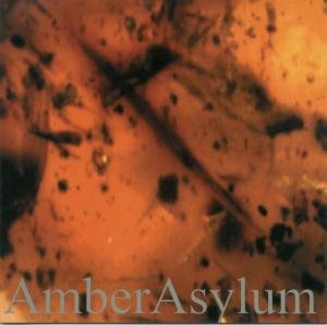 Cover for Amber Asylum · Frozen In Amber (CD) (2009)