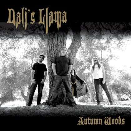 Cover for Dali's Llama · Autumn Woods (CD) (2019)