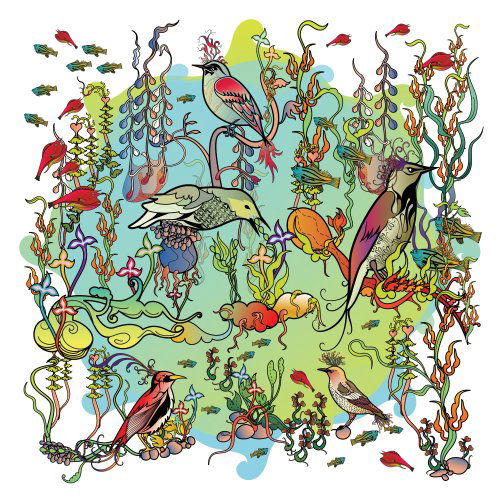 Cover for John Zorn · O'o (CD) (2009)