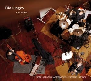 At Its Purest - Tria Lingvo - Muziek - JAZZSICK - 0718750010629 - 6 november 2012