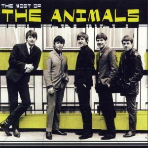 Animals · Most of the Animals (CD) (2004)