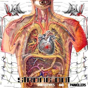 Prototypes and Painkillers - Strung out - Musikk - FAT WRECK CHORDS - 0751097073629 - 30. mars 2009