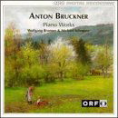 Piano Works - Anton Bruckner - Musique - CPO - 0761203925629 - 24 avril 1998