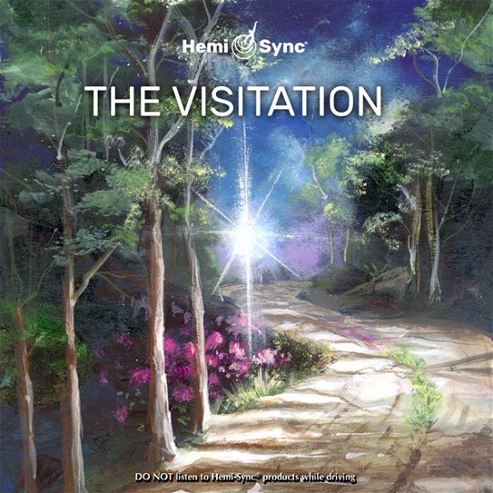 Cover for Micah Sadigh &amp; Hemi-sync · The Visitation (CD) (2020)