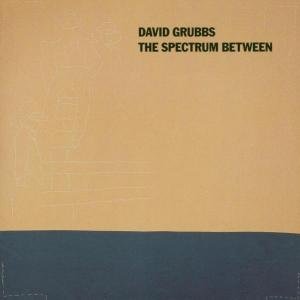 Spectrum Between - David Grubbs - Musik - DRAG CITY - 0781484018629 - 17. august 2000