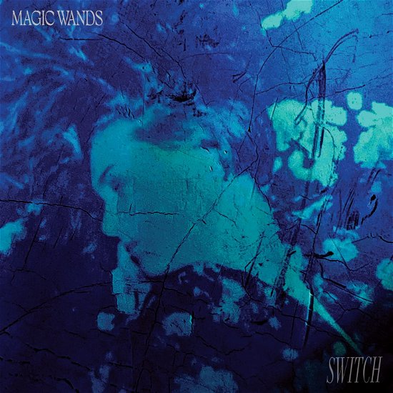 Cover for Magic Wands · Switch (CD) (2023)