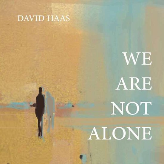 Cover for David Haas · We Are Not Alone (CD) (2013)