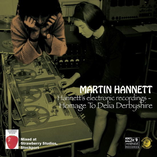 Cover for Martin Hannett · Homage to Delia Derbyshire (LP) (2017)