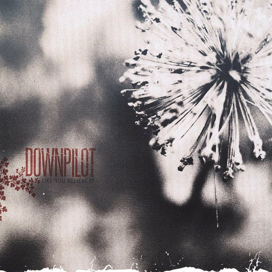 Cover for Downpilot · Like You Believe It (CD)