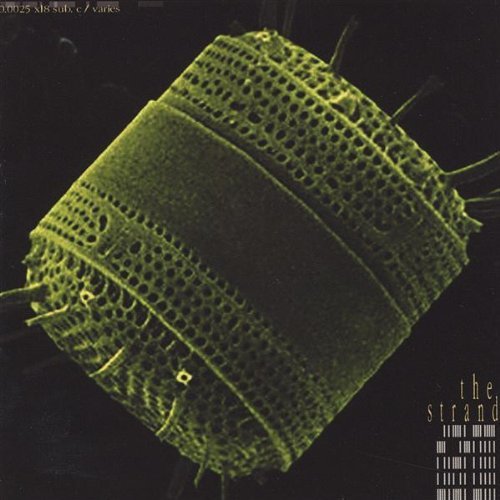 Cover for Strand · Diatom (CD) (2004)