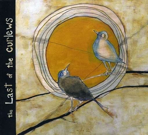 The Last of the Curlews - Brett Kull - Music - JFK - 0884501087629 - January 15, 2009