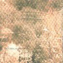 Cover for Red House Painters · The 3rd Album (CD) (1999)