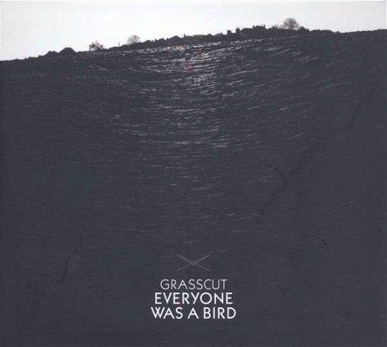 Everyone Was a Bird - Grasscut - Musik - Lo Recordings - 5024545712629 - 25. maj 2015