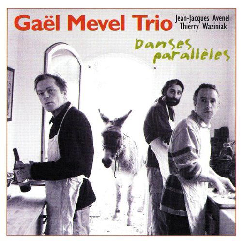 Cover for Ga?zl Mevel Trio · Ga?zl Mevel Trio - Danses Paralleles (CD) (2003)