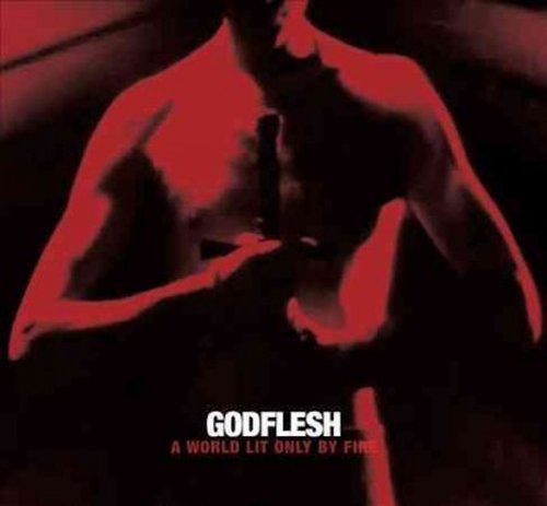 A World Lit Only by - Godflesh - Music - AVALANCHE - 5052571057629 - October 3, 2014