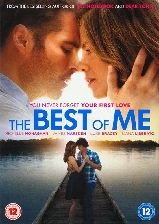 Cover for The Best of Me (DVD) (2015)