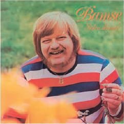 Cover for Bamse · Solen Skinner (CD) (2005)