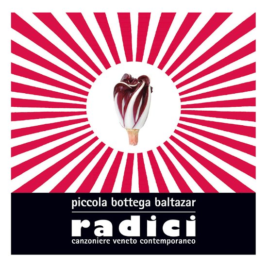 Cover for Piccola Bottega Balt · G.i.v.  Radici (CD) (2018)