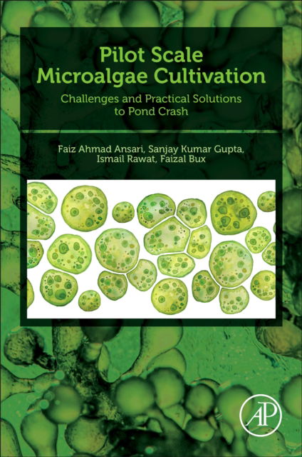 Cover for Ansari, Faiz Ahmad (Researcher, Institute for Water and Wastewater Technology, Durban University of Technology, Durban, South Africa) · Pilot Scale Microalgae Cultivation: Challenges and Practical Solutions to Pond Crash (Paperback Book) (2024)