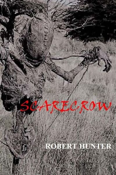 Cover for Robert Hunter · Scarecrow (Paperback Book) (2019)