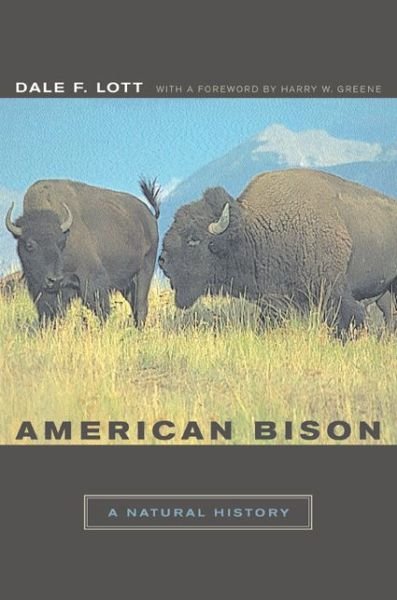 Cover for Dale F. Lott · American Bison: A Natural History - Organisms and Environments (Taschenbuch) (2002)