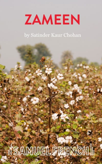 Cover for Satinder Kaur Chohan · Zameen (Paperback Book) (2021)