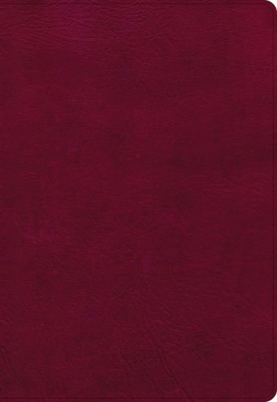 Cover for Holman Bible Publishers · NASB Super Giant Print Reference Bible, Burgundy (Leather Book) (2022)
