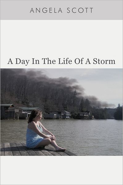 Cover for Angela Scott · A Day in the Life of a Storm (Paperback Book) (2011)