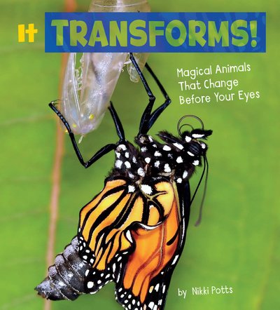 Cover for Potts, Nikki (Digital Assoc. Editor) · It Transforms!: Magical Animals That Change Before Your Eyes - Magical Animals (Hardcover Book) (2018)