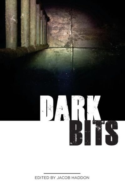 Cover for Kevin Lucia · Dark Bits (Quicklii) (Paperback Book) [First edition] (2013)