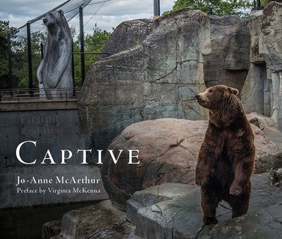 Cover for McArthur, Jo-Anne (Jo-Anne McArthur) · Captive (Paperback Bog) (2017)