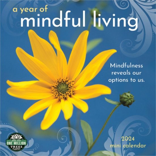 Amber Lotus · Meditation 2024 Calendar (Kalender) (2023)
