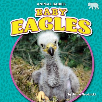 Cover for Jenna Grodzicki · Baby Eagles (Book) (2022)