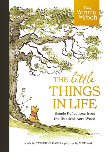 Cover for Walt Disney · Disney Winnie the Pooh - The Little Things in Life: Simple reflections from the Hundred-Acre Wood (Hardcover Book) (2024)