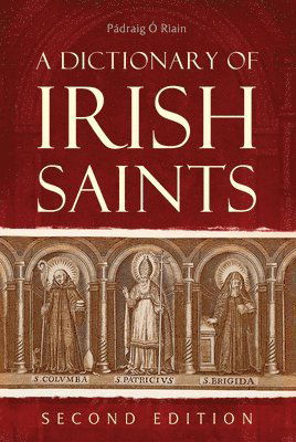 Cover for Padraig O Riain · A dictionary of Irish Saints (Hardcover Book) [New edition] (2025)