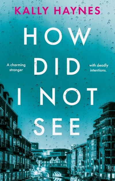 How Did I Not See - Kally Haynes - Books - The Book Guild Ltd - 9781913551629 - March 28, 2021
