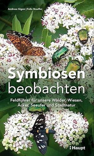 Cover for Gigon, Andreas; Stauffer, Felix · Symbiosen Beobachten (Buch)