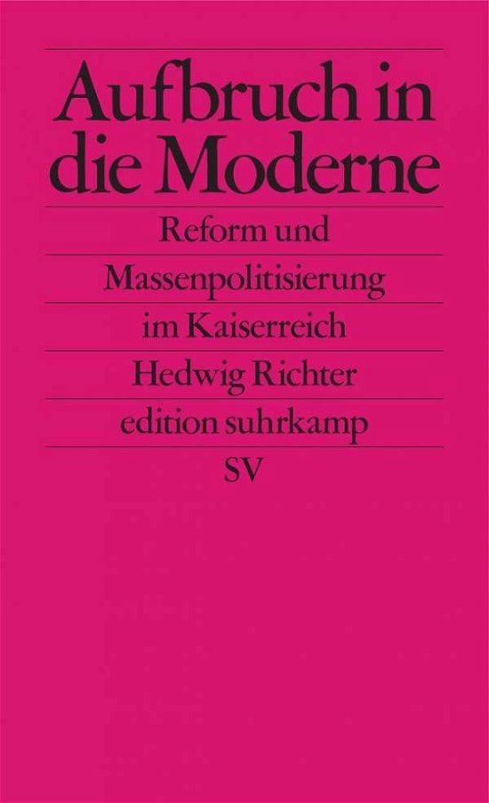 Aufbruch in die Moderne - Richter - Bücher -  - 9783518127629 - 