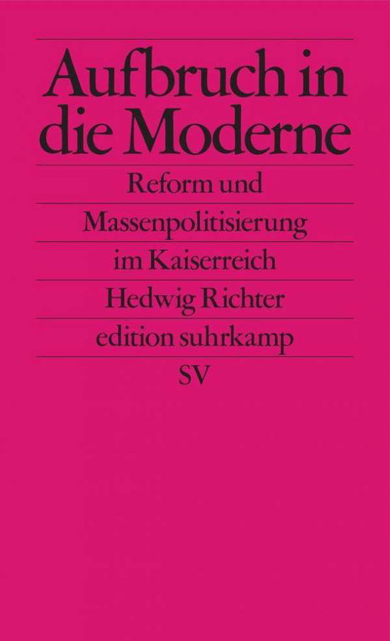 Aufbruch in die Moderne - Richter - Books -  - 9783518127629 - 