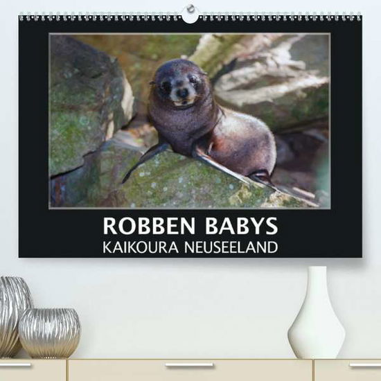 Cover for Bort · Robben Babys - Kaikoura Neuseeland (Book)