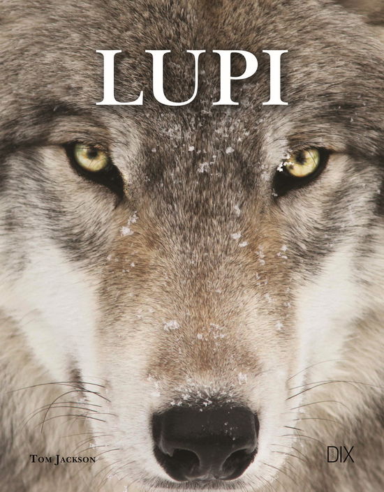 Lupi. Ediz. Illustrata - Tom Jackson - Books -  - 9788897427629 - 