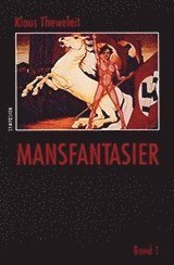 Cover for Klaus Theweleit · Kulturhistoriskt bibliotek: Mansfantasier : 2 band i kassett (Bog) (1995)