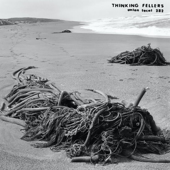 Cover for Thinking Fellers Union Local 282 · Tangle (LP) (2025)
