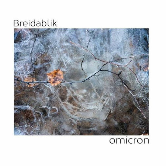 Cover for Breidablik · Omicron (LP) (2020)