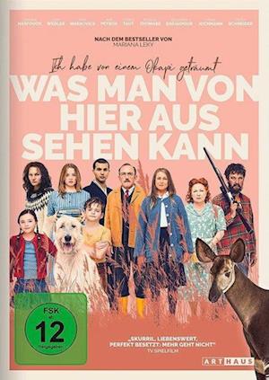 Was man von hier aus sehen kann - Movie - Movies - Arthaus / Studiocanal - 4006680100630 - 